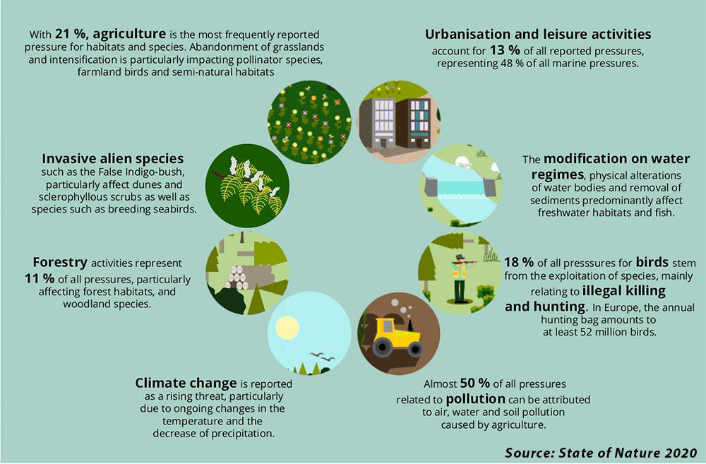 Diagramme: pressions et menaces sur la nature