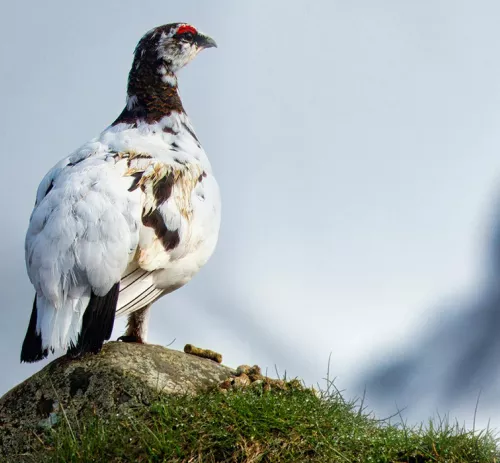 Photo de Jos van Ouwerkerk